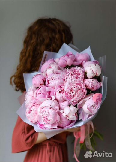 Пионы саженцы