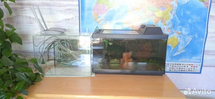 Аквариум