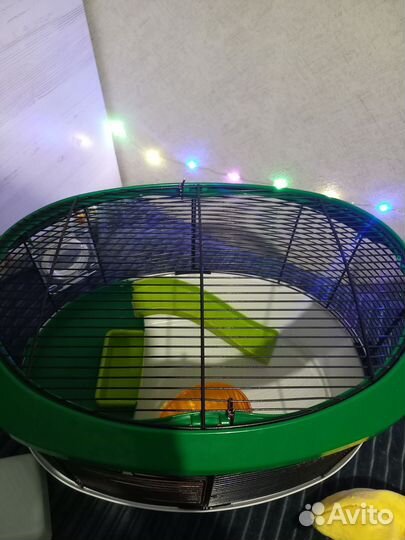 Клетки и аксессуары для мелких грызунов