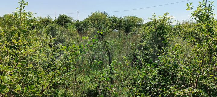 Участок 15 сот. (СНТ, ДНП)