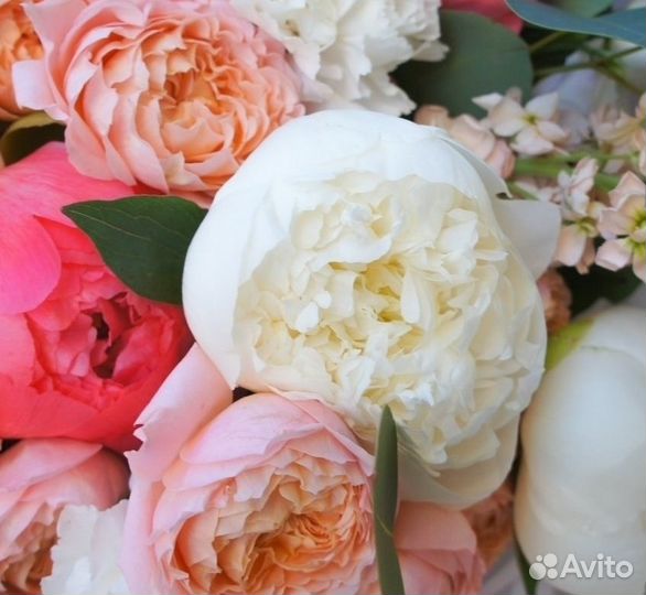 Пионы и пионовидные розы