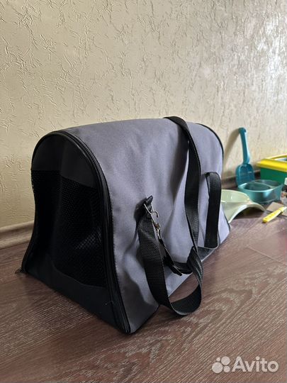 Переноска для кошек большая, миски, лоток