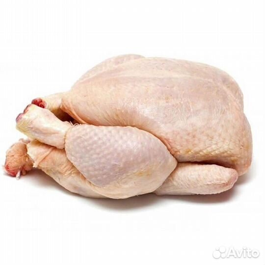 Продам домашнее мясо бройлерных кур и суповых кур