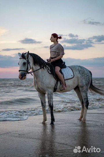 Конные прогулки, обучение верховой езде