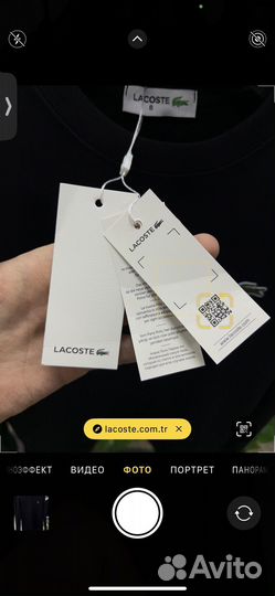 Свитшот мужской Lacoste премиум