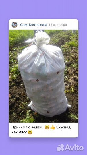 Продам картофель с доставкой в Котлас, Приводино