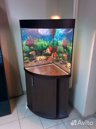 Аквариум 150 угловой полукруглый, тумба, свет, фон
