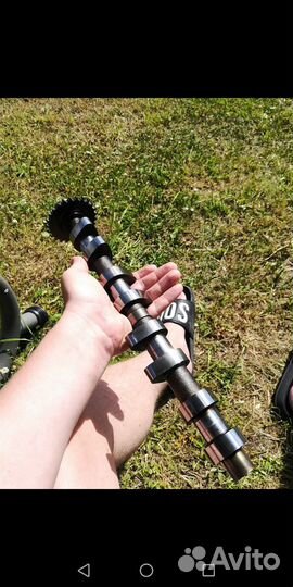 Schrick впускной распределительный вал на ваг