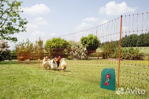 Электропастух