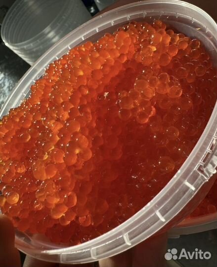 Икра,семга, в наличии