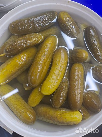 Огурцы солёные,маринованные