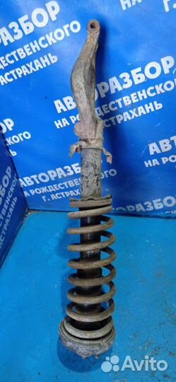 Передняя правая стойка амортизатора Honda City