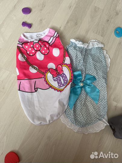 Одежда для собак