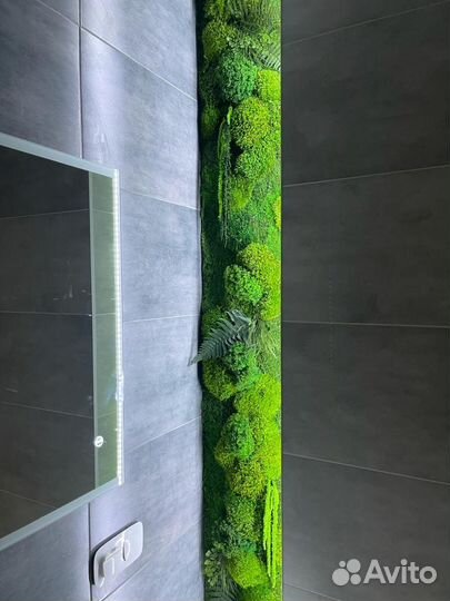 Стабилизированный мох.Озеленение. Декор. Дизайн