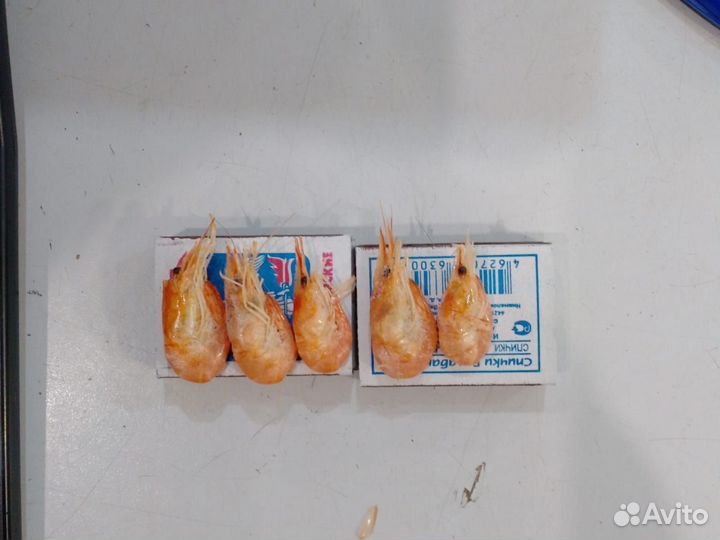 Креветка свежемороженная