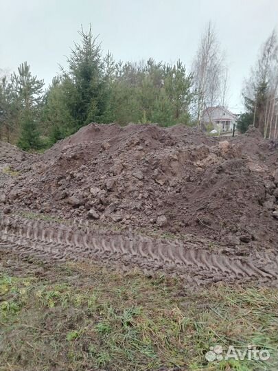Земля на подсыпку Лужский район