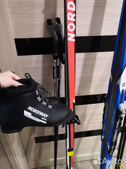 Беговые лыжи