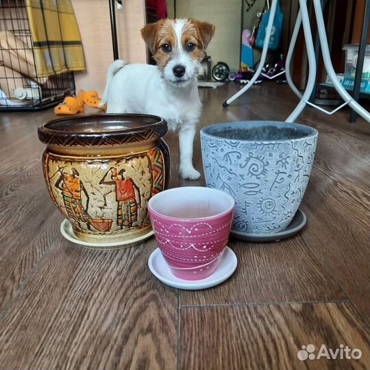 Кашпо горшок для цветов