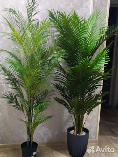 Искусственная пальма