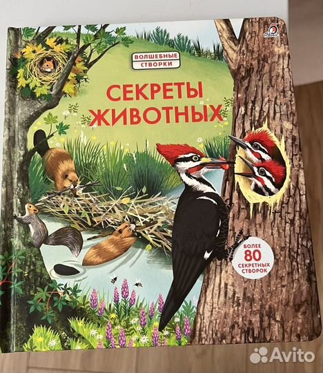 Книжки с волшебными створками Робинс