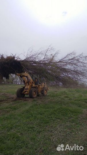 Аренда фронтального погрузчика