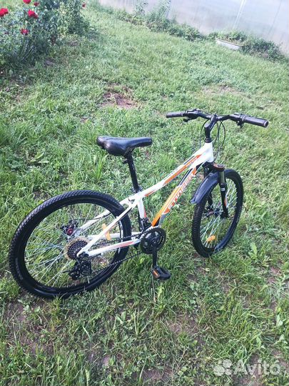 Велосипед Stinger boxxer d 24 (2017)