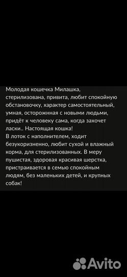 Кошечка в добрые руки