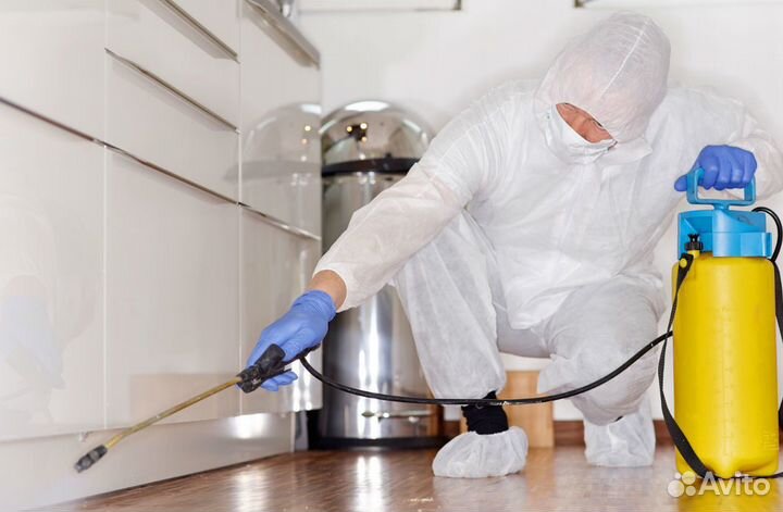 Дезинфекция дезинсекция уничтожение насекомых