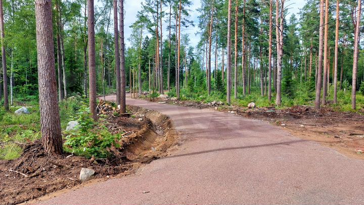 Участок 14,7 сот. (СНТ, ДНП)