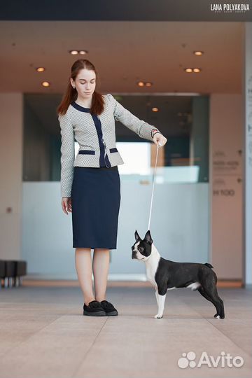 Услуги Хендлера