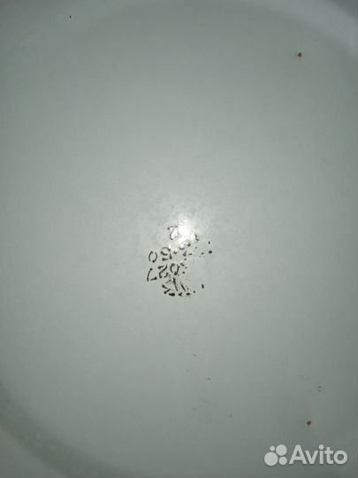 Таз эмалированный