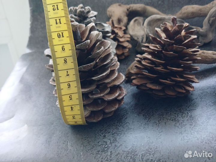 Природные материалы для творчества