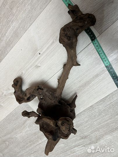 Для аквариума