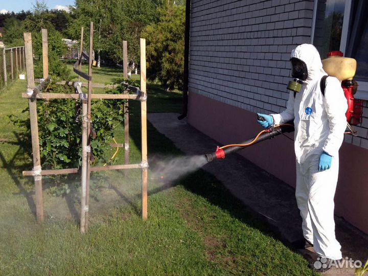 Уничтожение кротов клещей борщевика ос комаров