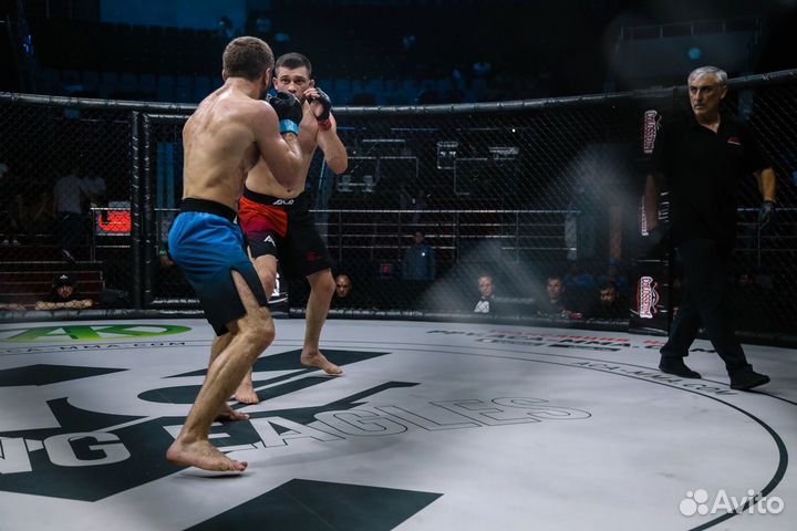 Тренер по единоборствам