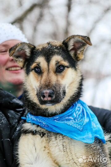 Молодая Джейна попала в приют