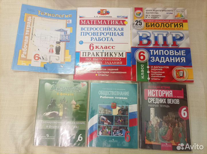 Рабочие тетради 6 класс