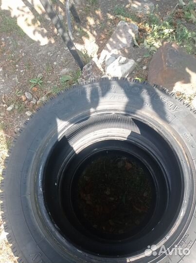 Douglas Performance 195/65 R15 100S
