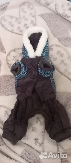 Одежда для маленьких собак