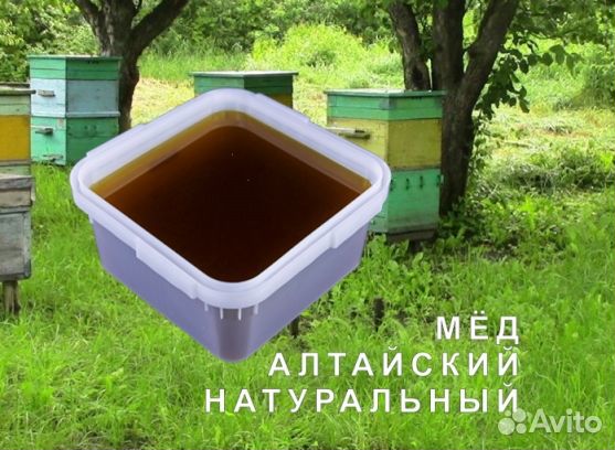 Мёд натуральный алтайский опт