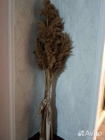 Сухих цветы