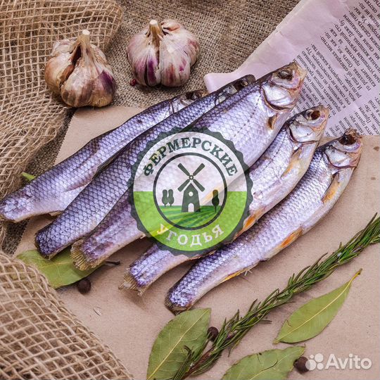 Рыба северная Язь Щука Щекур