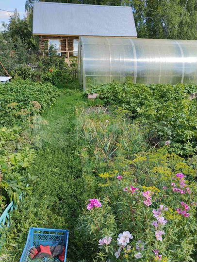 Дача 32 м² на участке 6 сот.