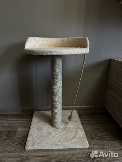 Когтеточка