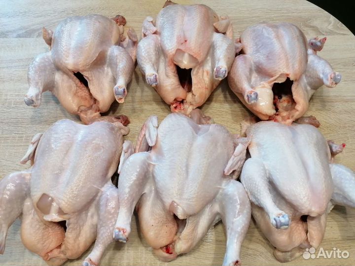 Мясо домашнего бройлера