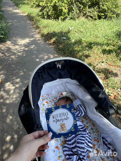 Коляска 2в1 adamex encore