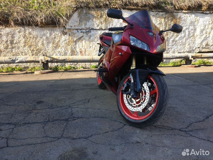 Honda CBR 600rr