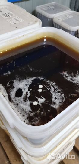 Мёд оптом свежий лесной