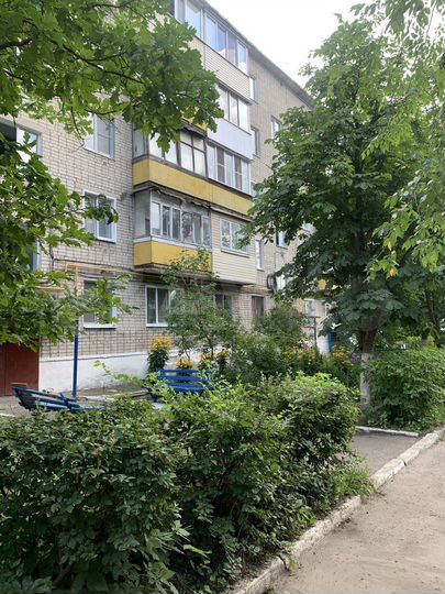 1-к. квартира, 31 м², 4/5 эт.