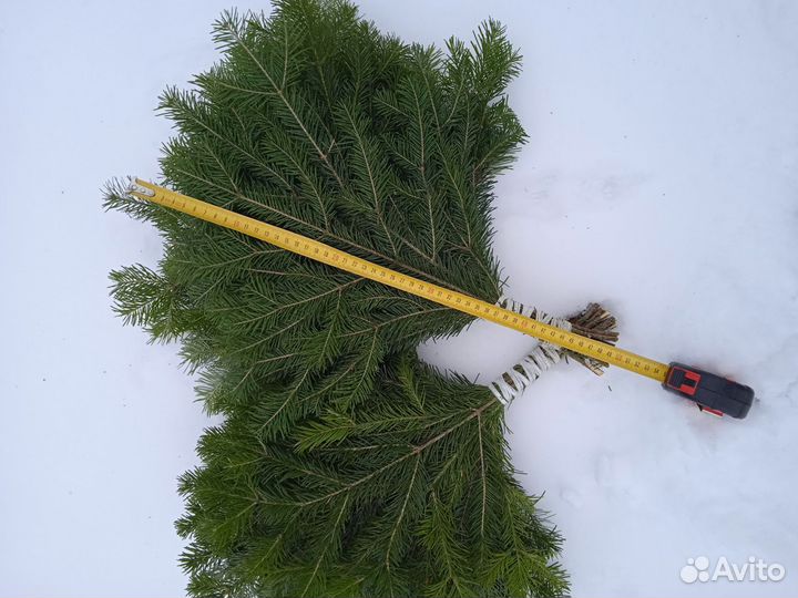 Веники пихтовые